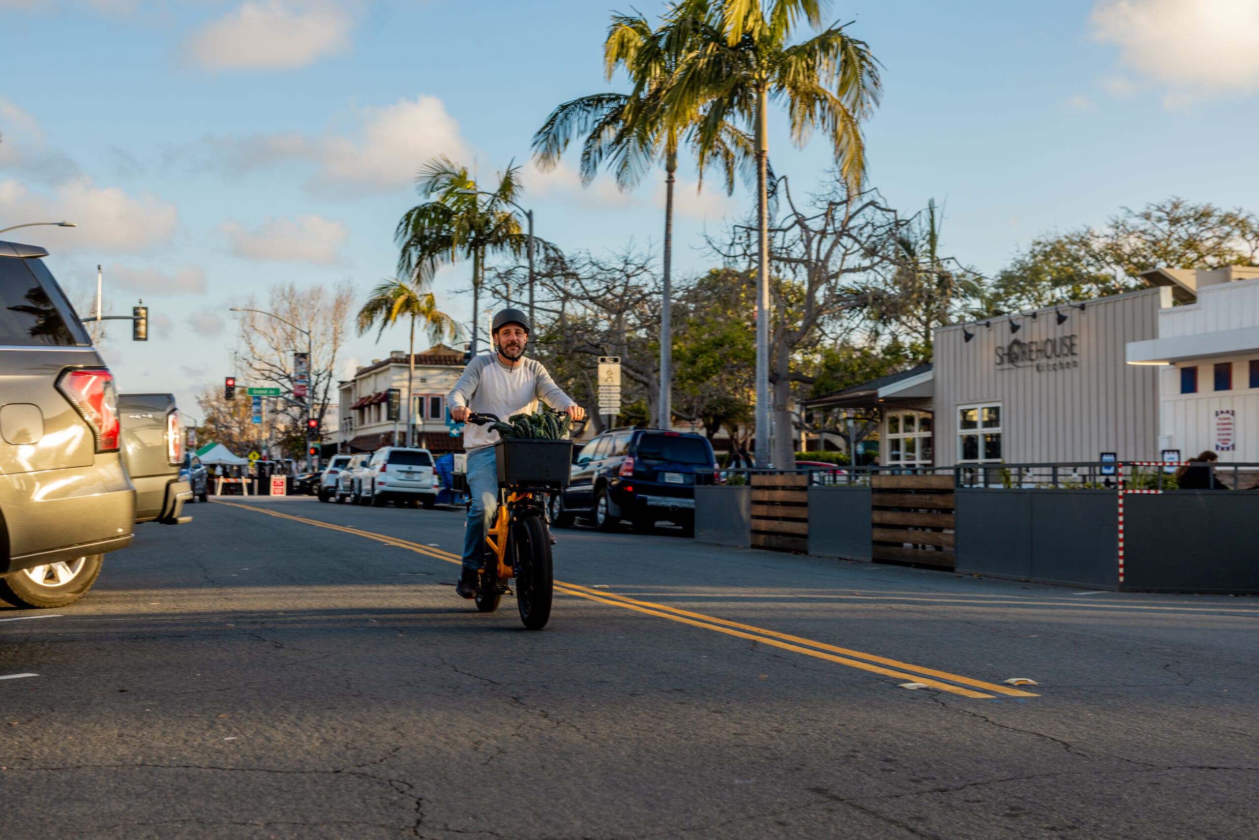Troxus Lynx Cargo E-Bike