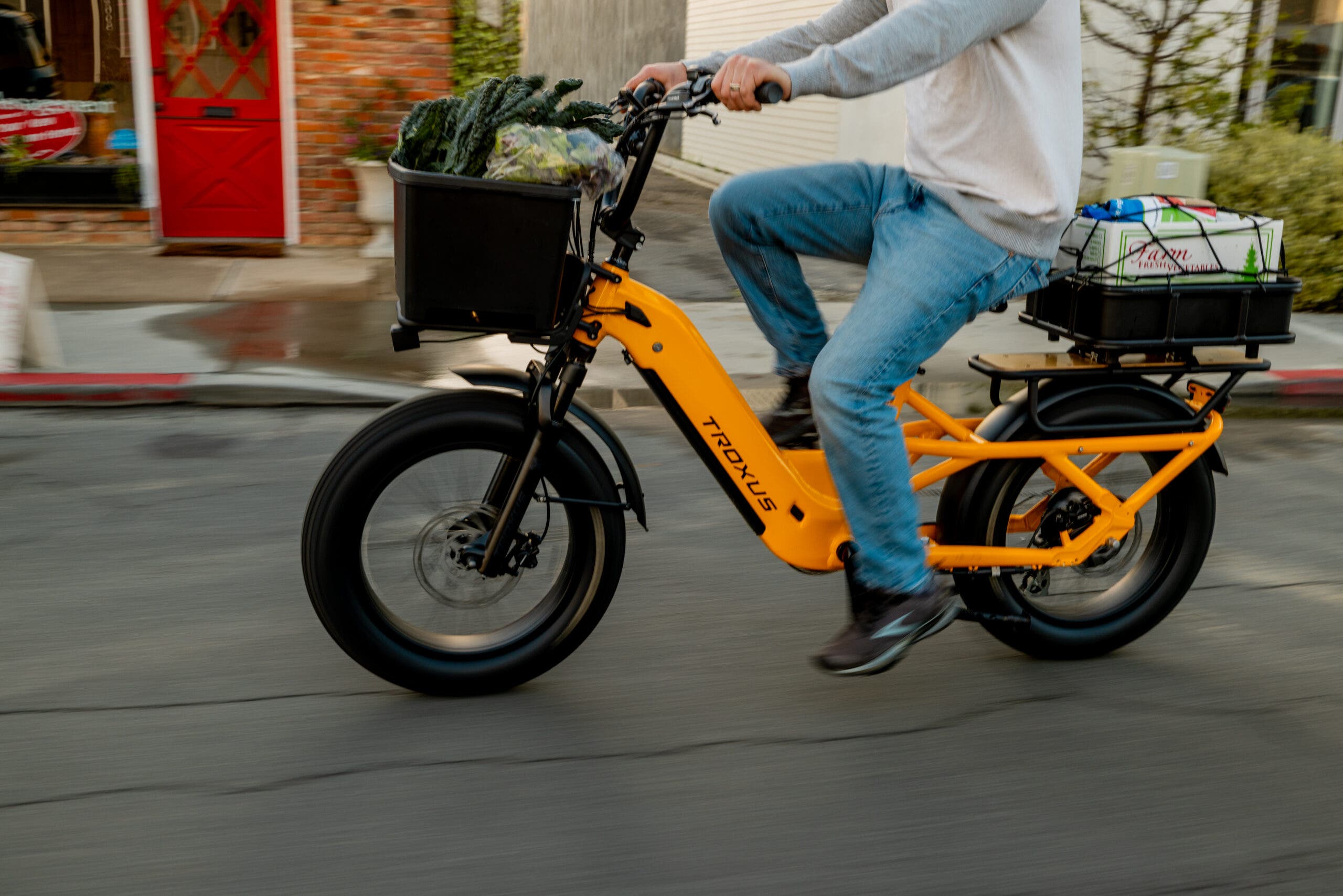 Troxus Lynx Cargo E-Bike