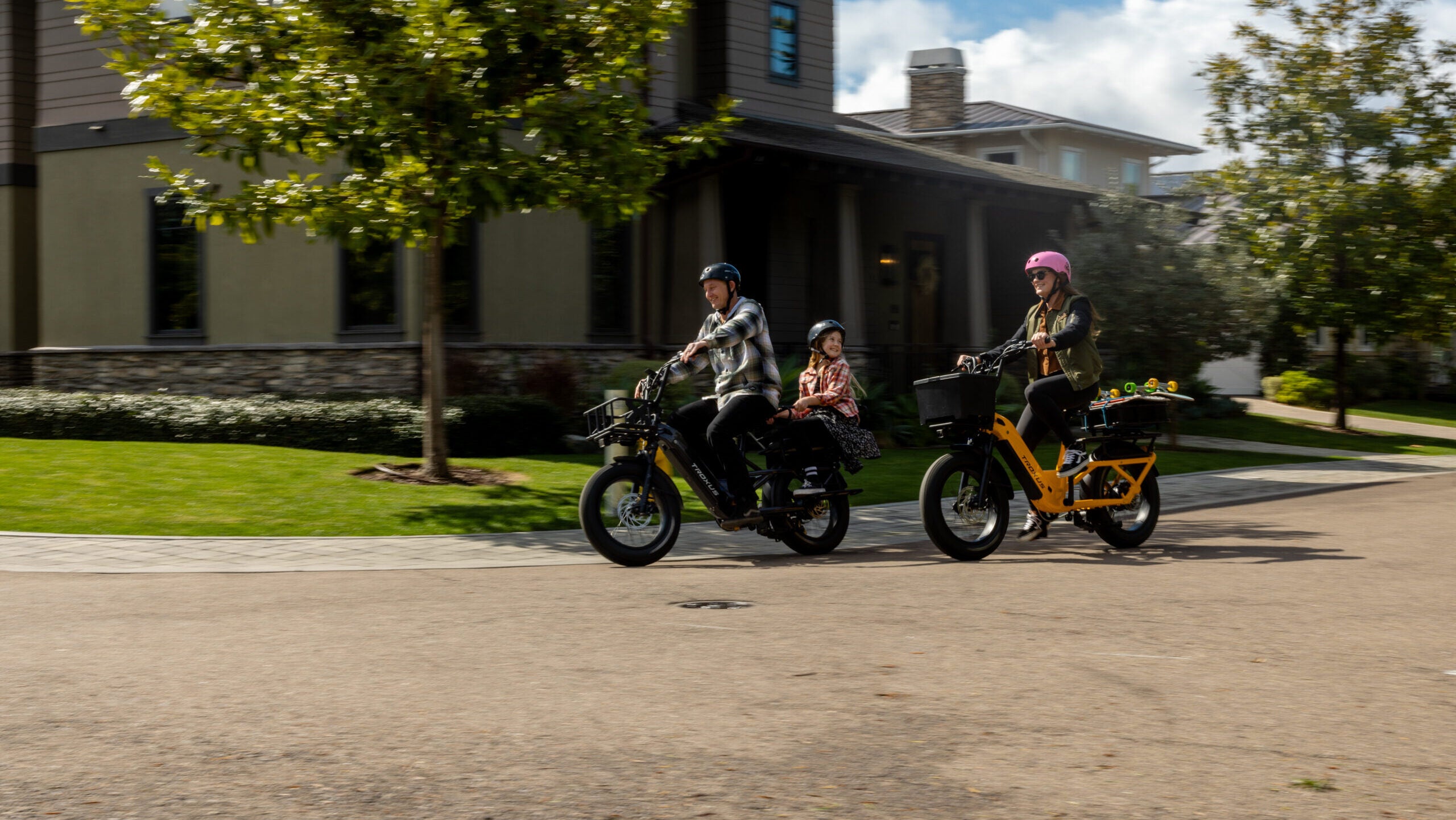 Troxus Lynx Cargo E-Bike