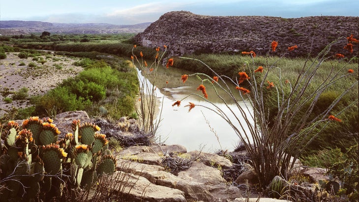 View of the Rio Grande near the entrance to Boquillas.