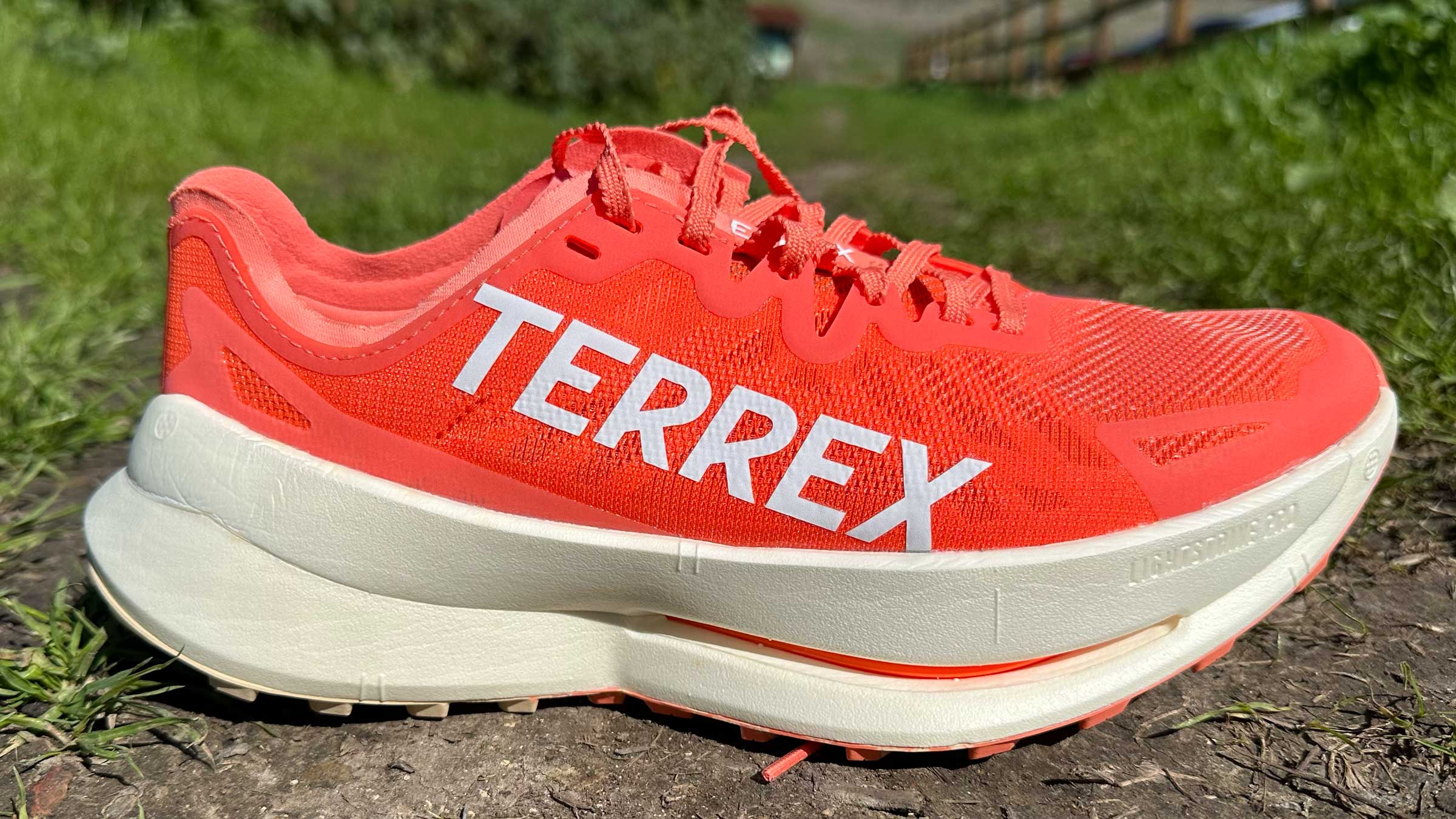 The Adidas Terrex Agravic Speed Ultra