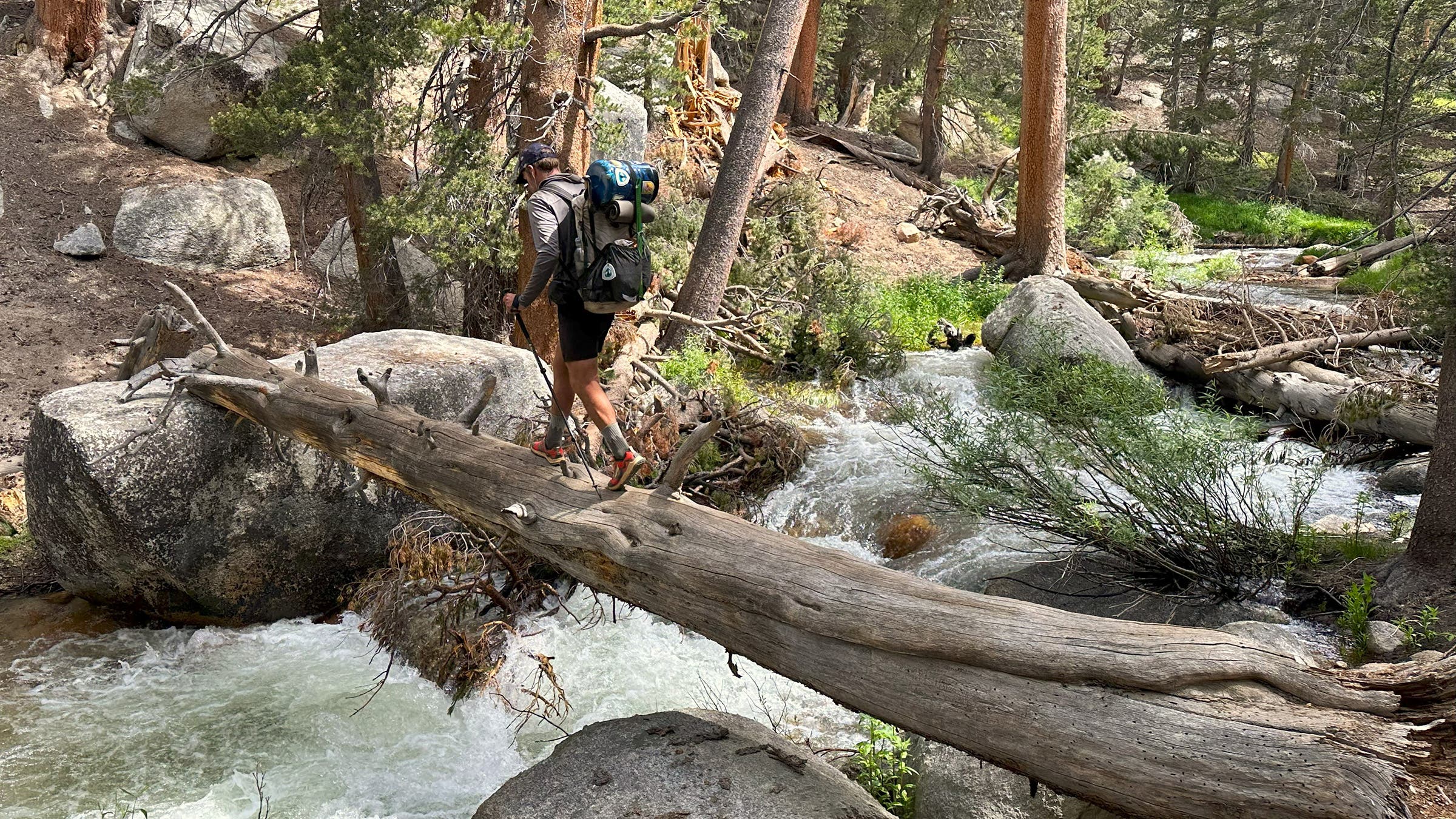 The author saunters over a log across Rock Creek.