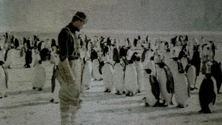 scientist and emperor penguins