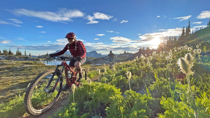 biker rides through wildflower field, Monashees, BC