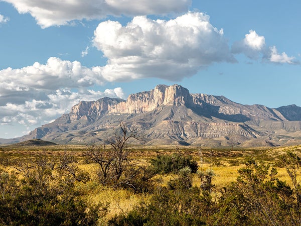 El Capitan in Guadalupe