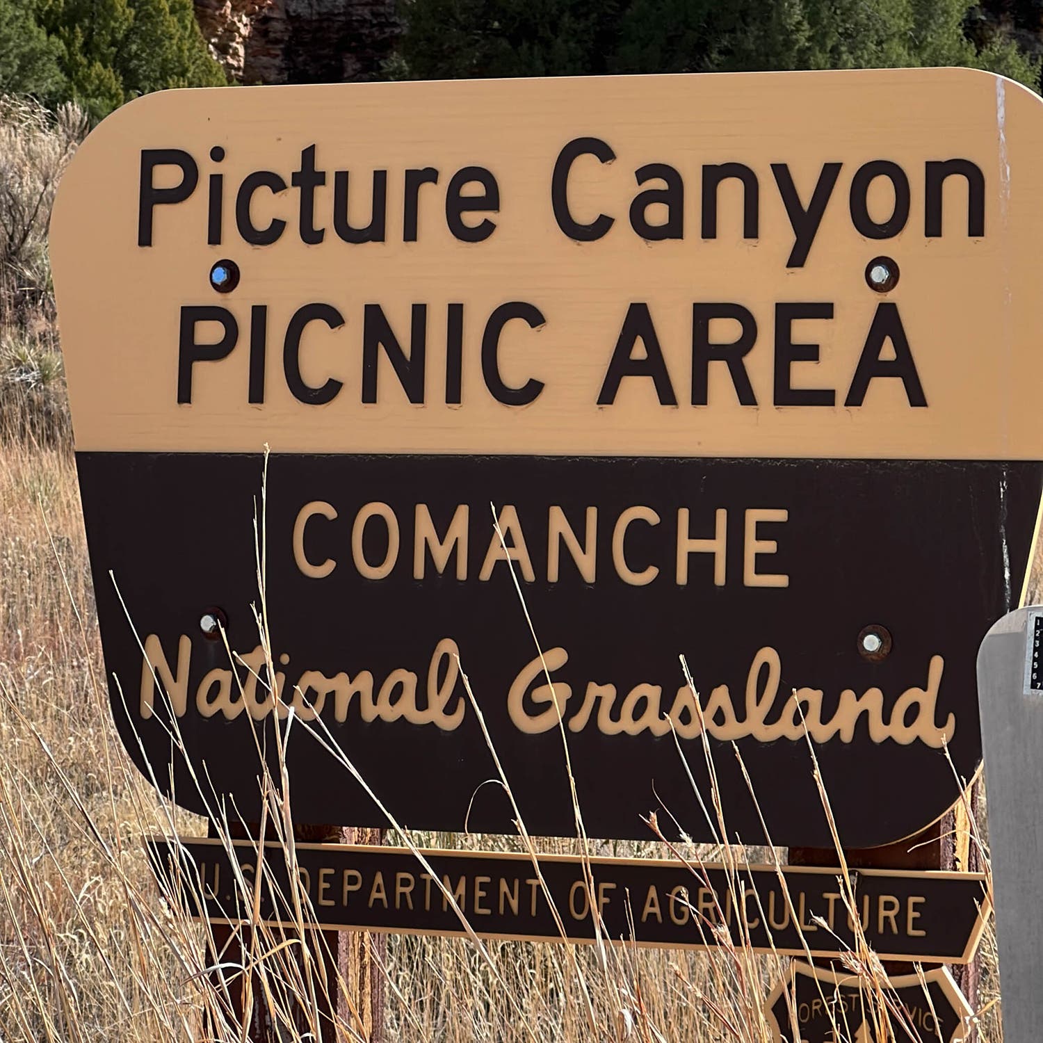 Picture Canyon picnic area in Comanche National Grassland where you can relax for lunch before exploring the area