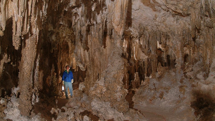 Sherwood Forest, Carlsbad Caverns
