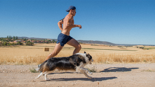 man running with dog outside