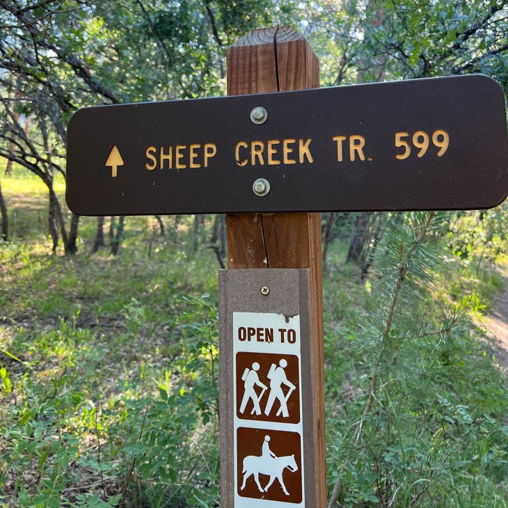 There are a couple of primitive, flat areas near Sheep Creek Hot Springs trailhead where overnight camping is allowed.