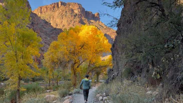 The author's husband walking a trail that runs parallel to the Colorado River at the base of the canyon.