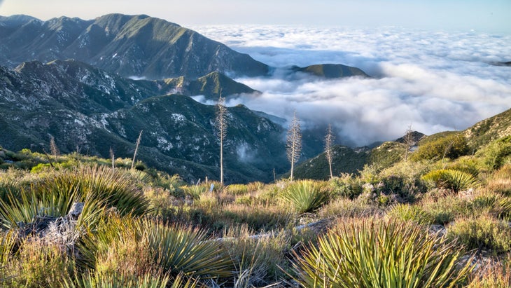 Hoyt Mountain in San Gabriel Mountains National Monument