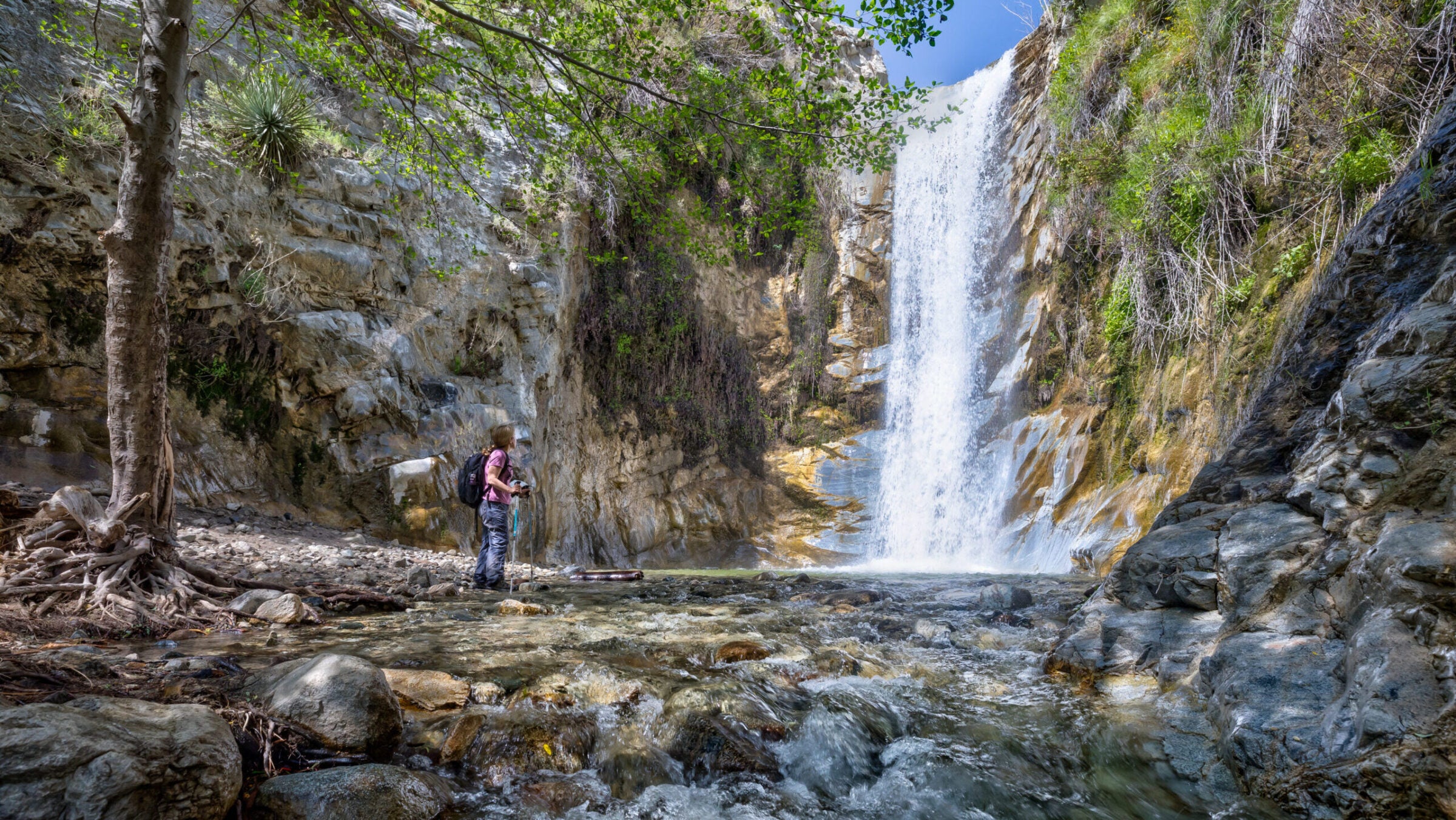a young hiker looks at Canyon Falls in San Gabriel Mountains National Monument