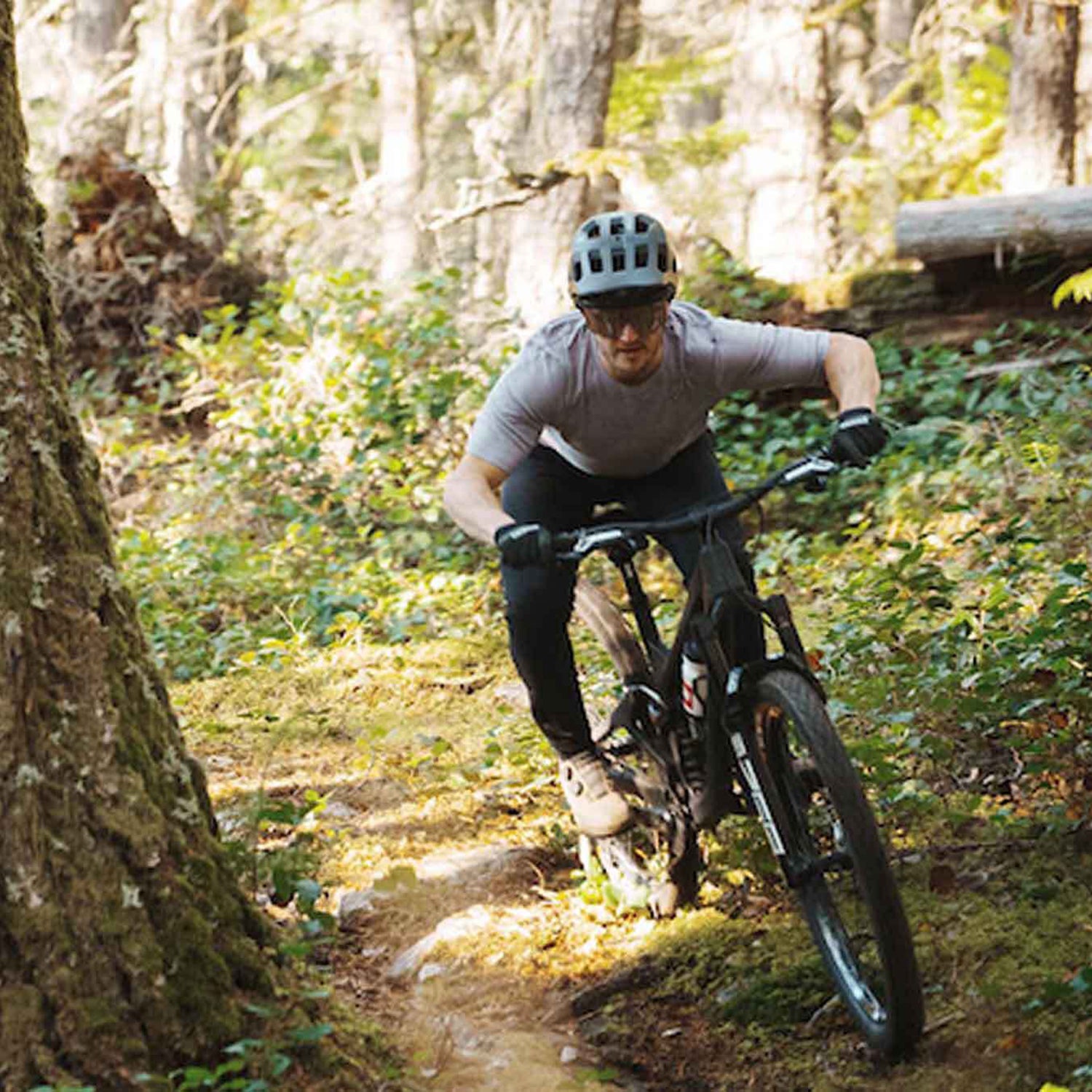 Man riding mountain bike on forested single track trail