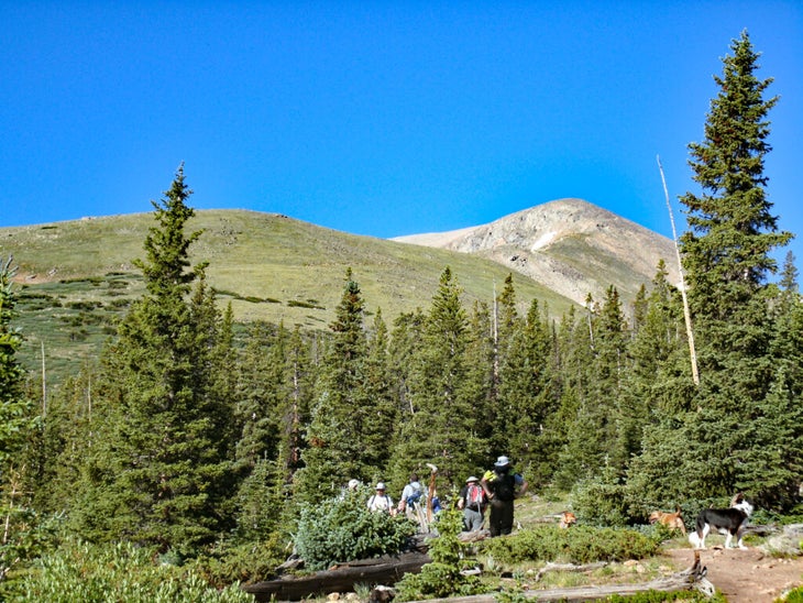 Hikers emerge from treeline