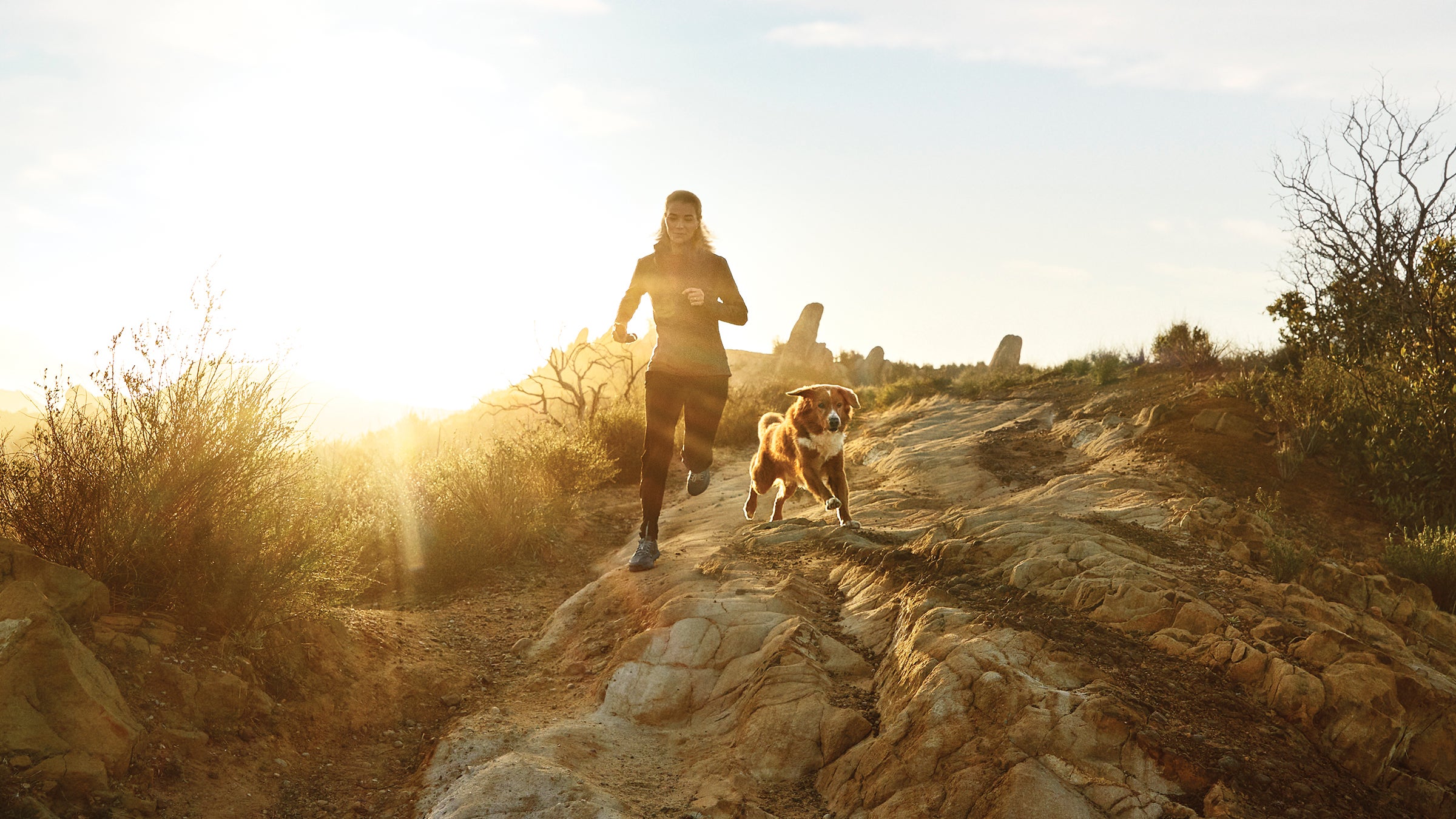 With the right training and fuel, dogs can put on a remarkable athletic show. See how you measure up to top canine athletes at the ϳԹ Festival in Denver June 1–2.