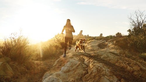 With the right training and fuel, dogs can put on a remarkable athletic show. See how you measure up to top canine athletes at the ԹϺ Festival in Denver June 1–2.
