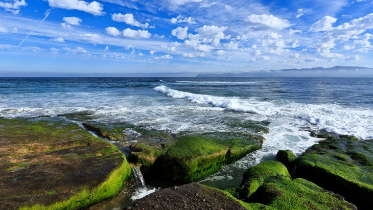 Skunk Point, Santa Rosa Island, Channel Islands