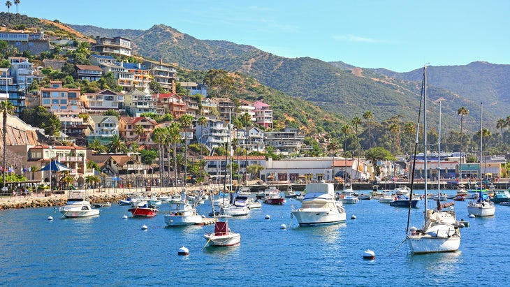 Avalon Harbor, Southern California