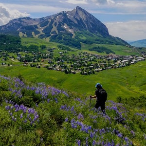 A hiker on a grassy hillside with purple wildflowers looks down on the Colorado town of Crested Butte and the mountain in the background.