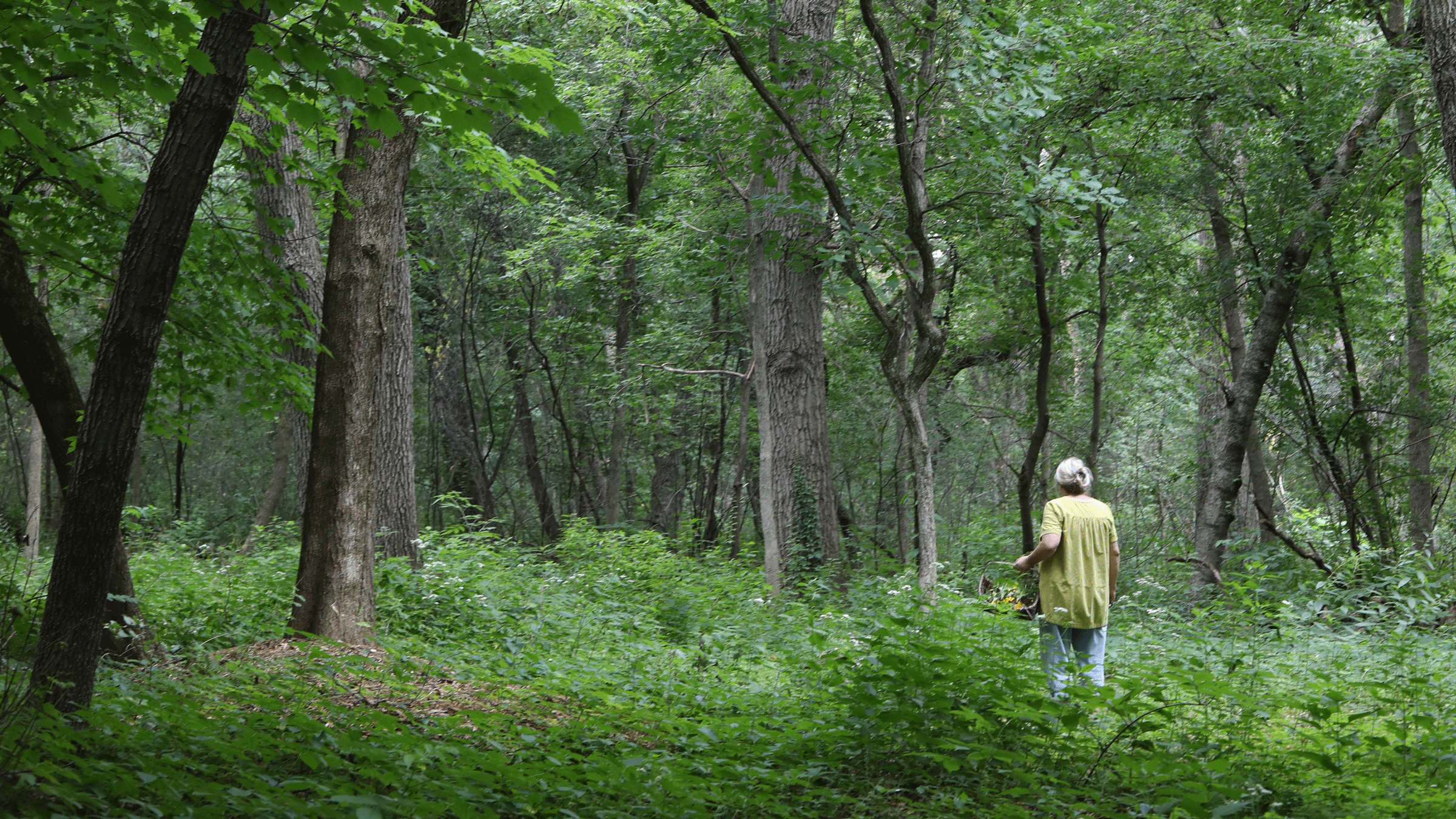 Woman photographer, Mary-Jo Hoffman, finding objects for her blog and book named Still