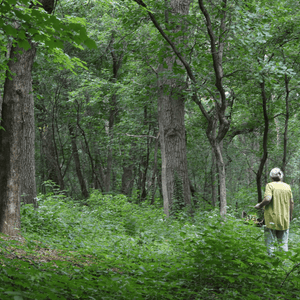 Woman photographer, Mary-Jo Hoffman, finding objects for her blog and book named Still