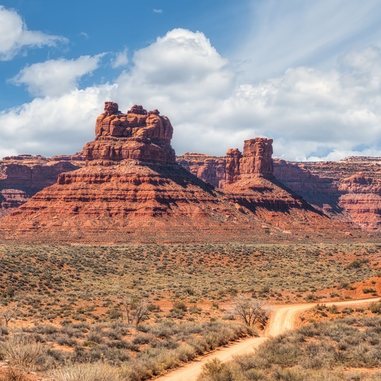 Valley of the Gods in Bears Ears National Monument, Mexican Hat Utah