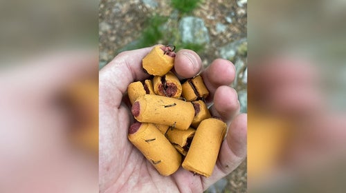 hooks in dog treats