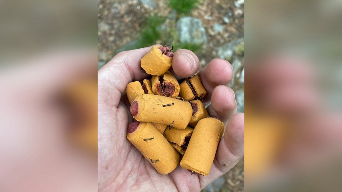 Someone’s Setting Booby Traps for Dogs on the Appalachian Trail