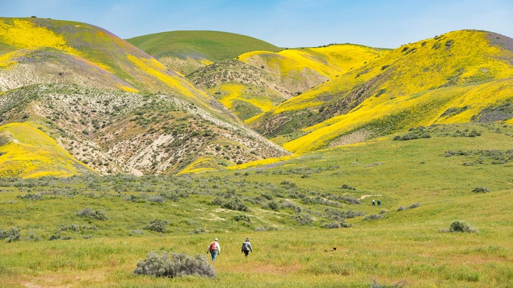 People hiking at Carrizo Plain National Monument, California, USA
