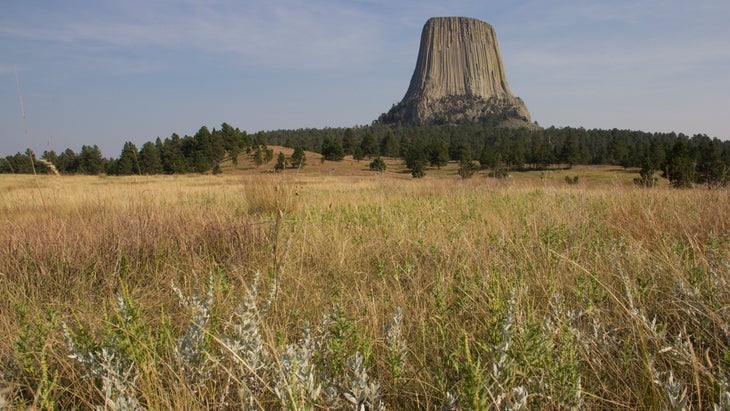 Devils Tower as seen across a field of sagebrush