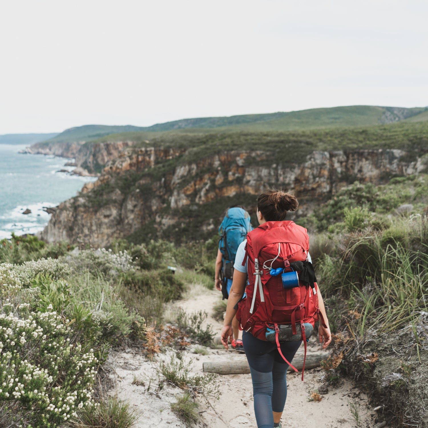 Two hikers carrying backpacks whilst hiking a coastal trail in nature.
