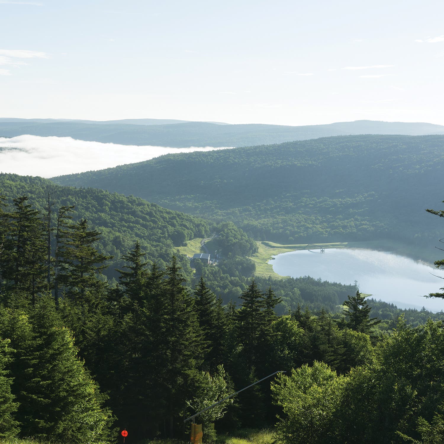 The view from Snowshoe Mountain