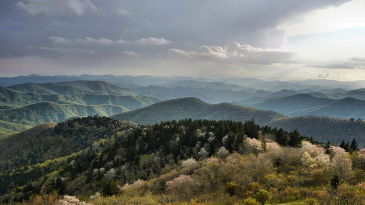 The Ultimate Road Trip Guide to the Blue Ridge Parkway