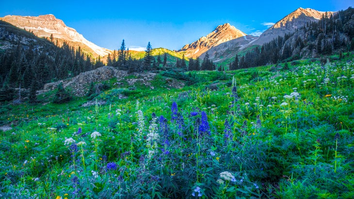 Mount Sneffels from Yankee Boy Basin, Colorado