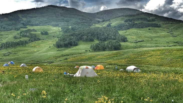 A handful of tents are pitched on a green, grassy mountainside filled with wildflowers in Crested Butte, Colorado.