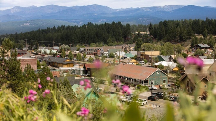 Summer flowers in bloom frame a view of the mountain town of Truckee, California, with the Sierra in the background.