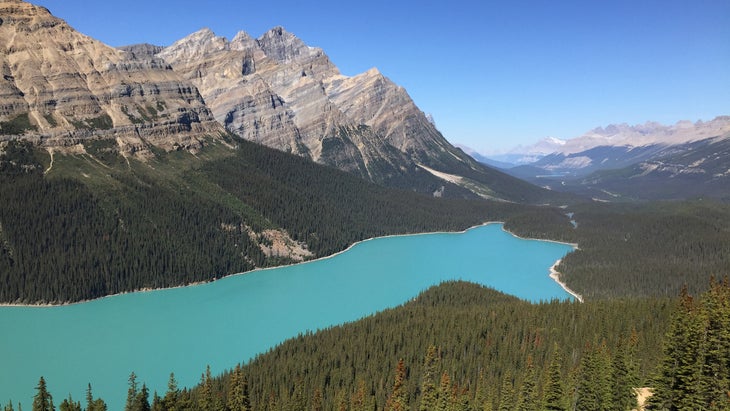 Peyto Lake, Banff National Park