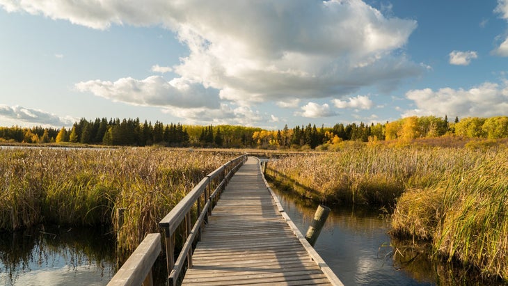 boardwalk and grassy plains at Riding Mountain National Park, Manitoba 