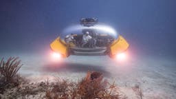 The Ocean Floor Is Dangerous. We Should Keep Exploring It.