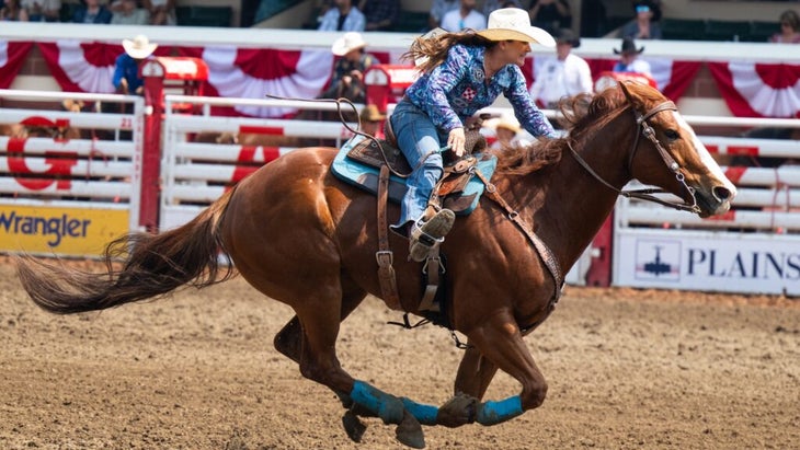 A cowgirl urges her horse to sprint in the arena at the Calgary Stampede.