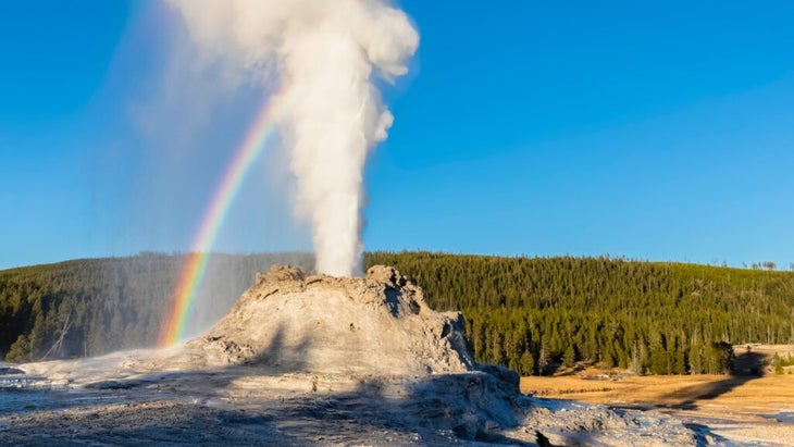 Castle Geyser at Yellowstone National Park spews water and air into the sky, creating a rainbow.