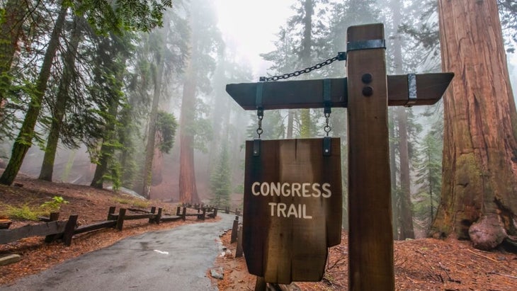 A wooden sign marks the Congress Trail at California’s Sequoia National Park.