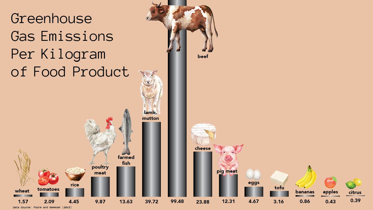 Inforgraphic showing greenhouse gas emissions of various food items