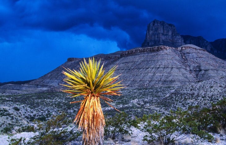 A storm rolls into Guadalupe Mountain National Park, Texas, illuminating the sky and cactus and desertscape in moody colors.