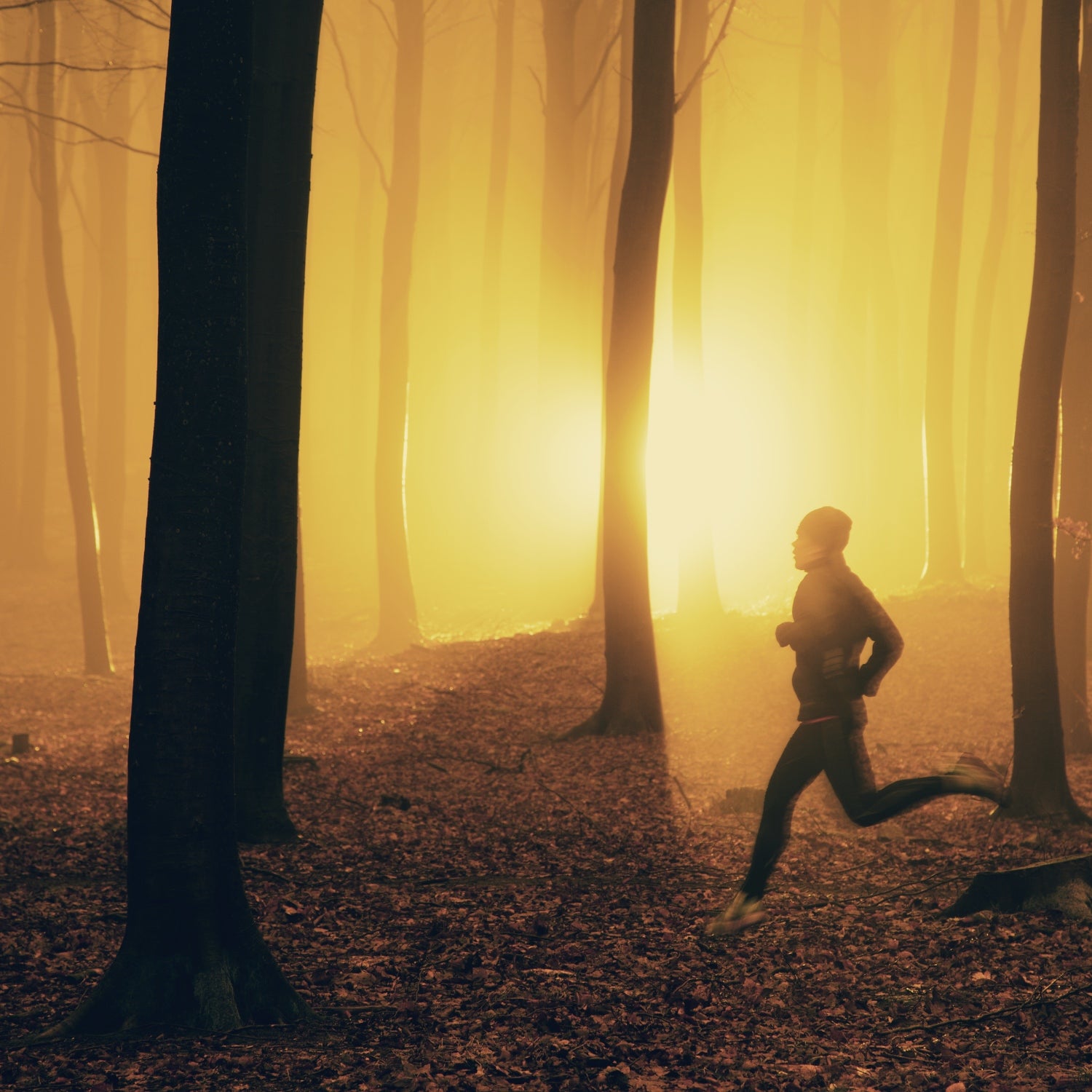 Man running in the forest with sun setting