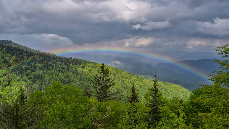 Blue Ridge Parkway beauty