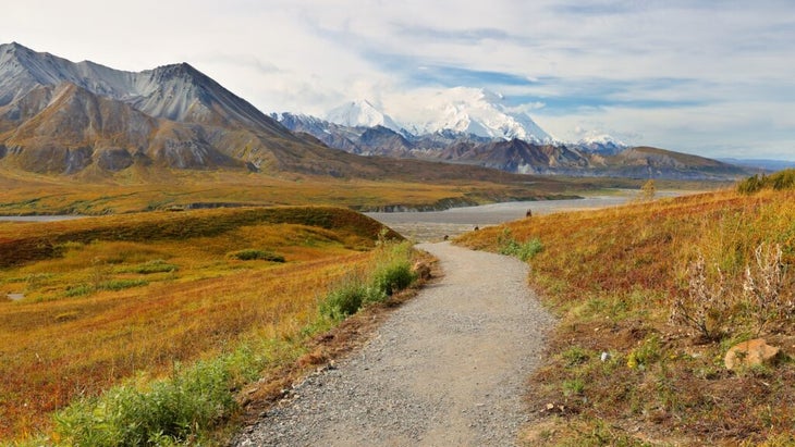 A section of the Savage River Loop, at Denali National Park and Preserve, heads toward the eponymous river. Sharp-tipped mountains are in the distance.