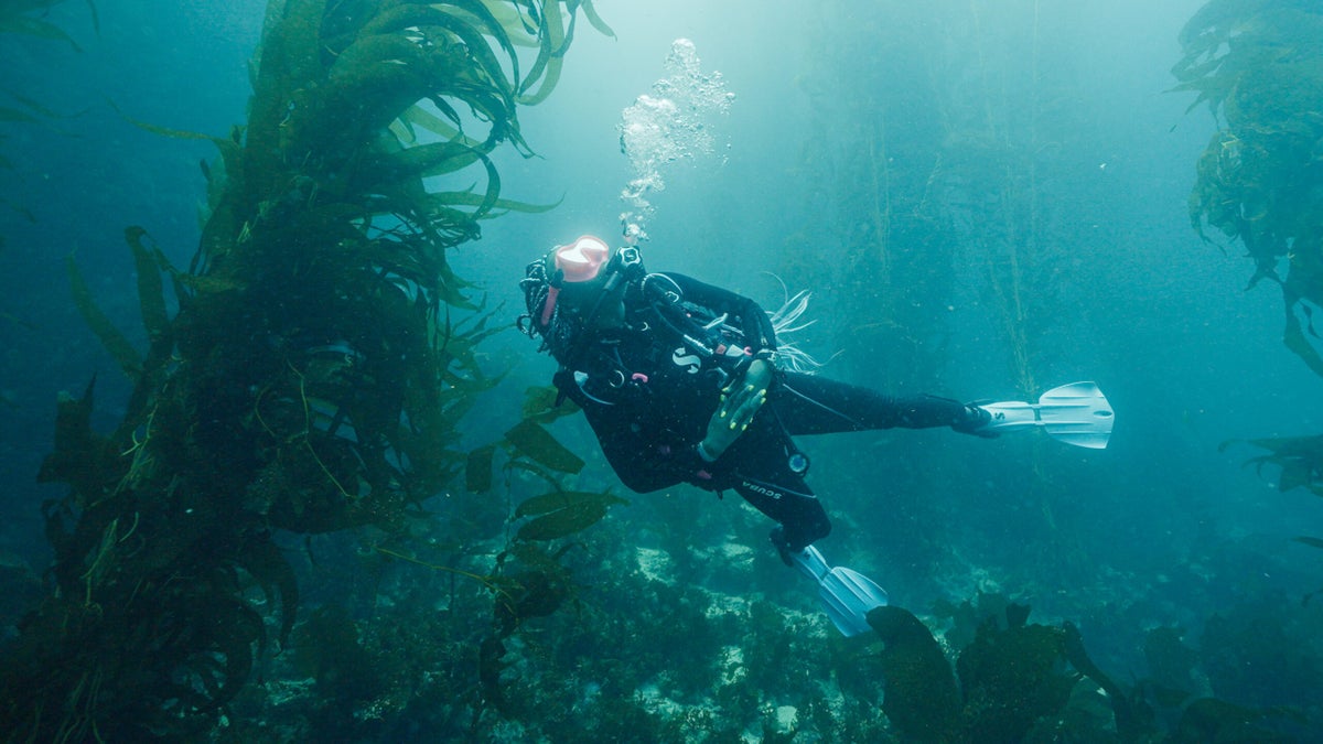 Watch What It’s Like To Explore Underwater