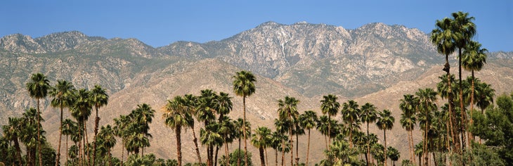 Palm Springs Cactus to Clouds