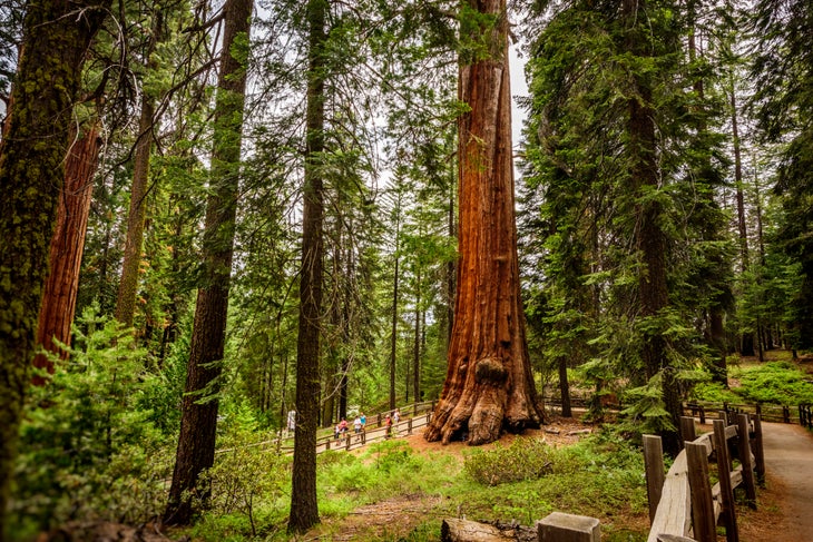 Kings Canyon National Park